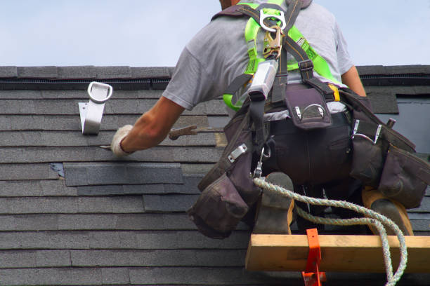 Best Storm Damage Roof Repair  in Louisa, KY