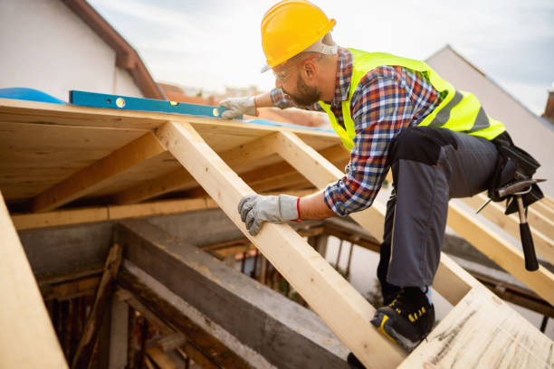Best Local Roofing Companies  in Louisa, KY