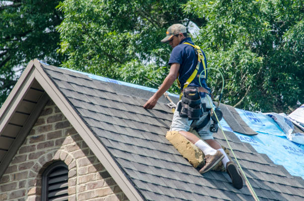 Best Emergency Roof Repair  in Louisa, KY