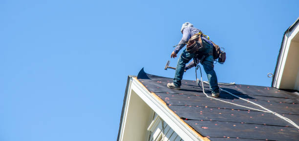 Best Residential Roofing Contractor  in Louisa, KY